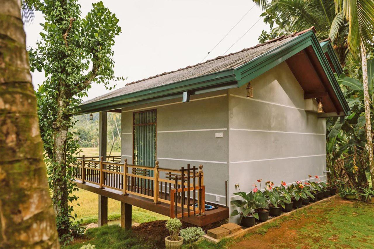 Rainforest Nest Hotel