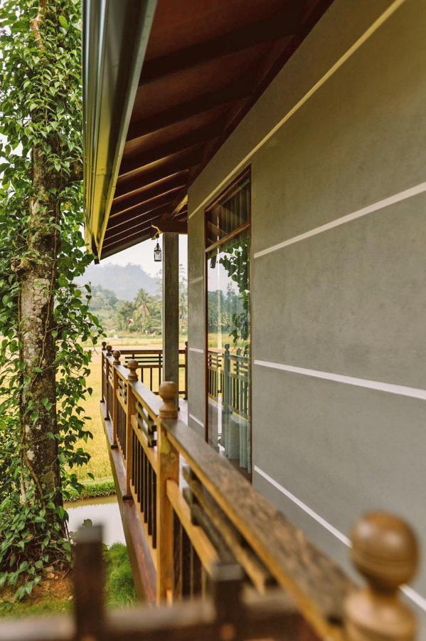 Rainforest Nest Hotel Deniyaya