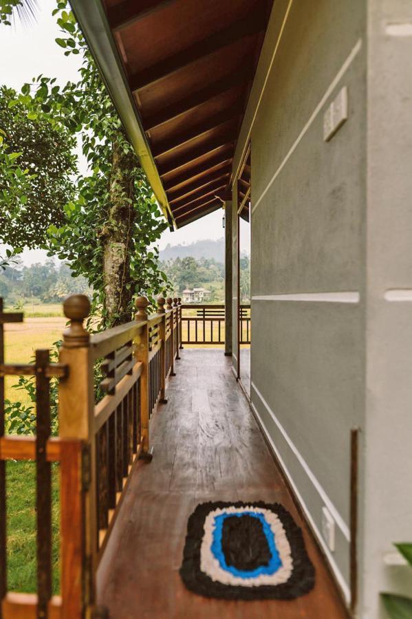 Rainforest Nest Hotel