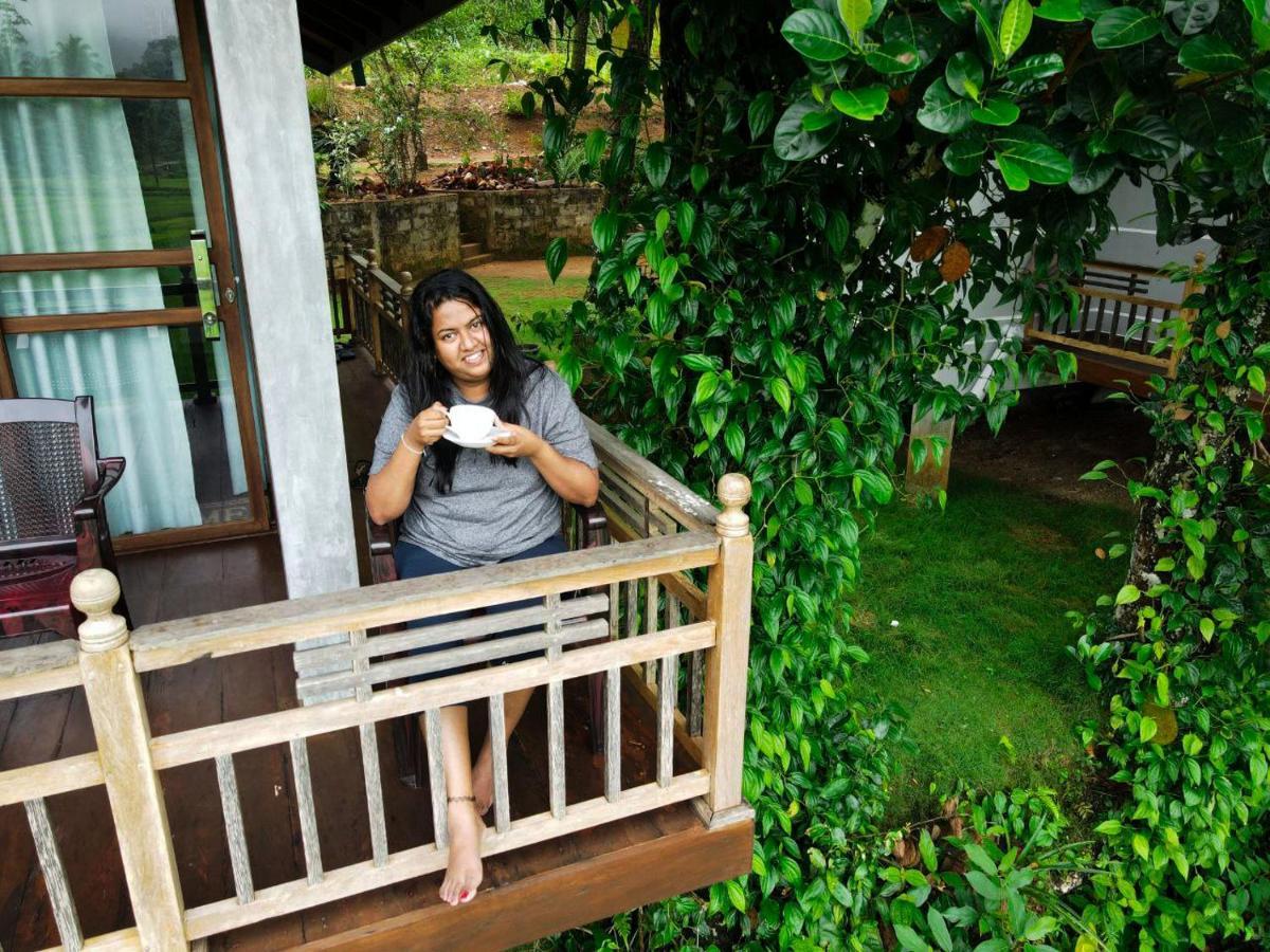 Hotel Rainforest Nest