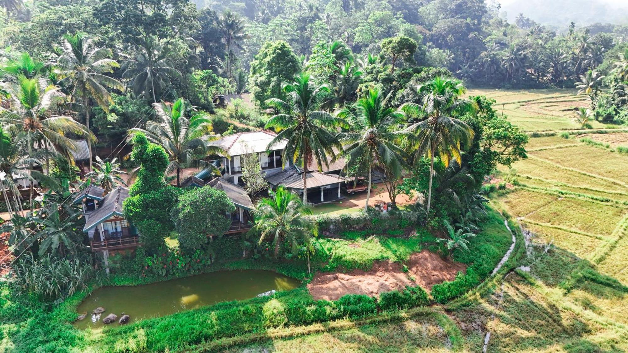 Hotel Rainforest Nest *