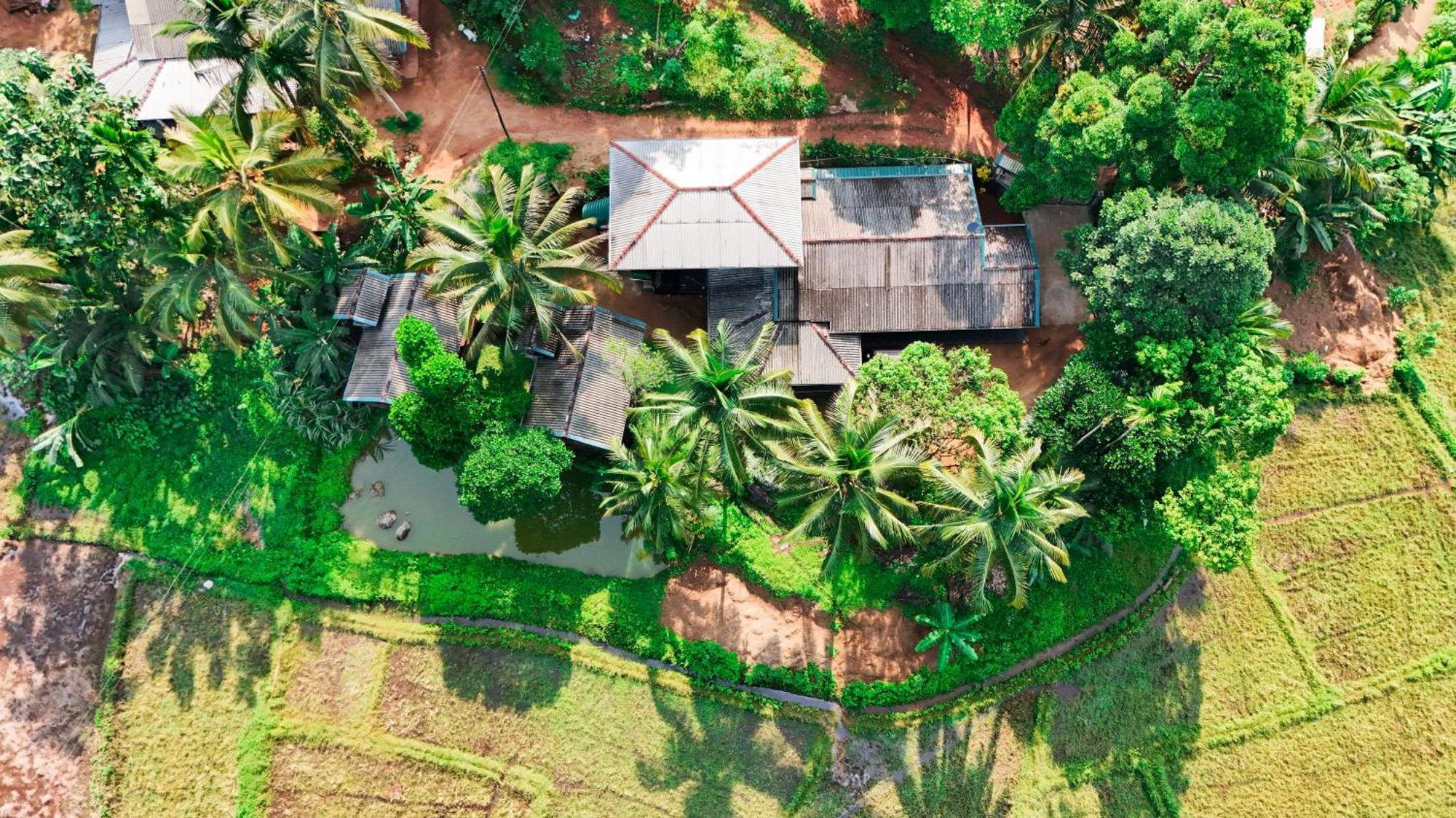Hotel Rainforest Nest *